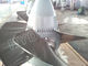 0.1MW - 30MW 低い頭部のカプラン ハイドロ タービン/固定刃が付いているカプラン水タービン